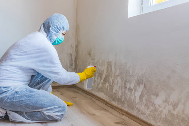 Mold Remediation specialist working in Bogota