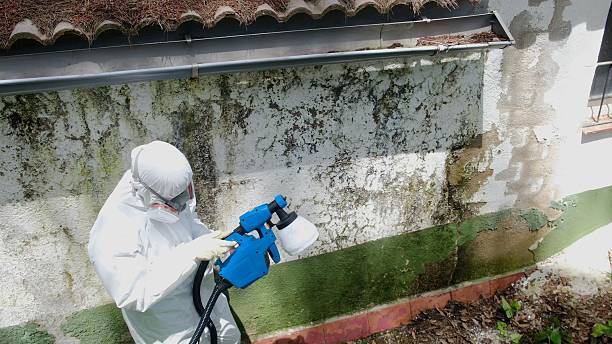 Mold Remediation service in Bogota, Bogota, NJ